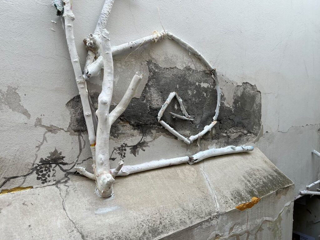 White-painted branches fixed to a weathered wall in an angular growing shape