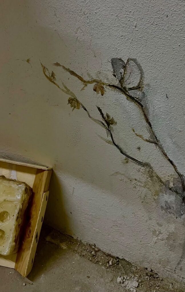 Thin painted creeper climbing a wall corner